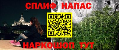 бошки Гусев
