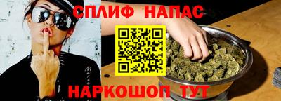 гидра Гусиноозёрск
