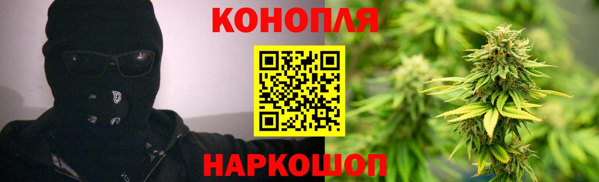 Канабис индика  Вход с VPN  Марихуана ГИДРОПОН  Каннабис семена  Тверь 